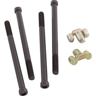 Höghållfasthetsskruv Med Propp 4st 70mm